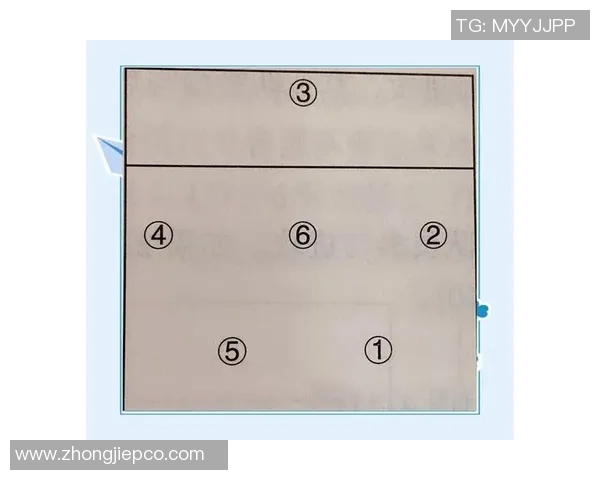 杭州排球队在锦标赛中的节奏表现分析与战术探讨 杭州排球队在锦标赛中的节奏表现分析与战术探讨