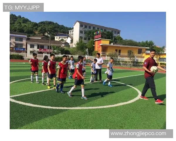 绿茵传奇：一位足球明星的自传与梦想之旅