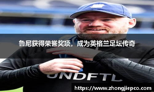 BB贝博登录入口